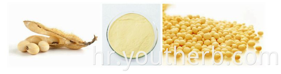 phosphatidylserine powder